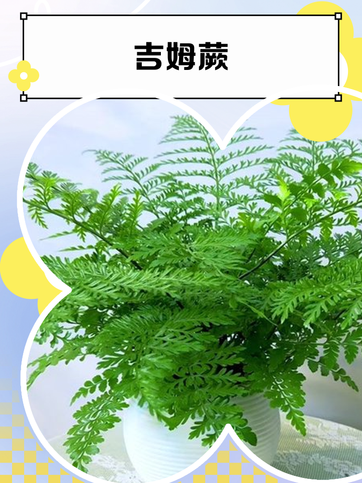 ?y蕨_??K??丠?滃疄?鬷H硊\慧鷳蓑燮C$??&amp;W的简单介绍-多宝登录入口