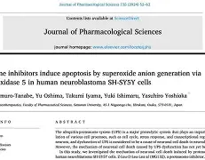 甲:莦籱p/?摂倽(确认个人之间合伙关系成立的案例)-多宝网址